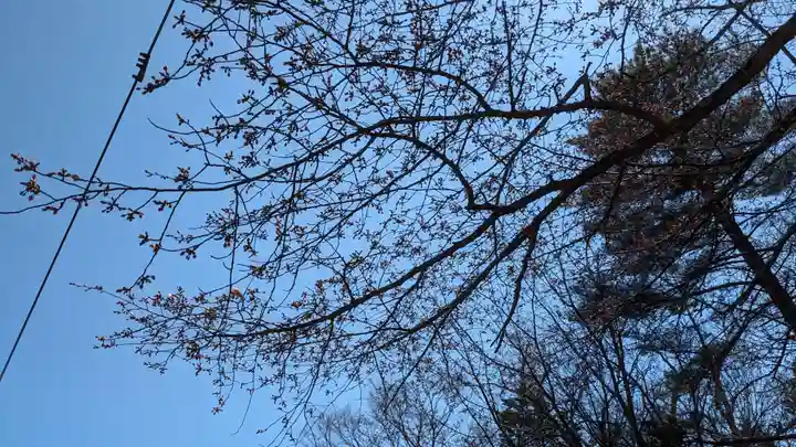 豊受神社の自然
