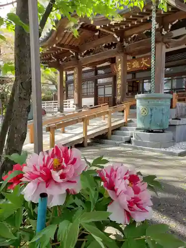 成願寺(東京都)