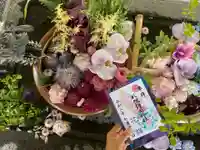 札幌護國神社の御朱印