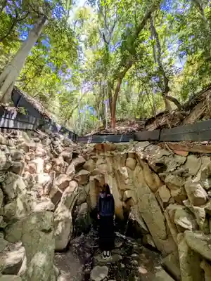 垂水神社の自然
