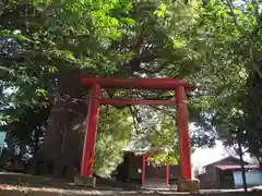 石受稲荷神社(神奈川県)