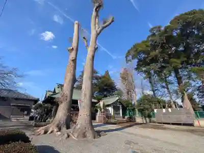 子之神神社(神奈川県)