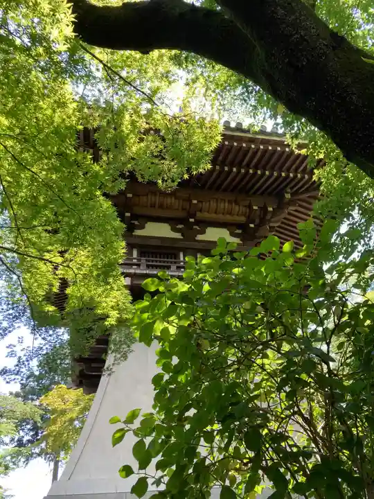 高幡不動尊 金剛寺のその他建物