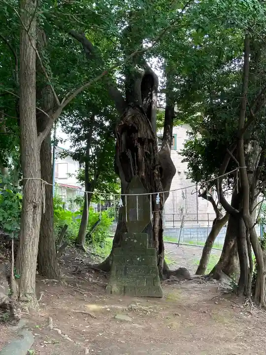 山野浅間神社(千葉県)