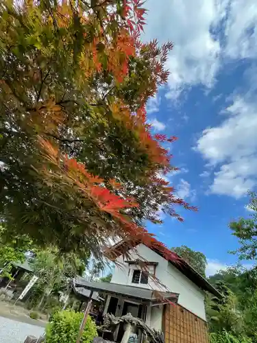 地蔵院(東京都)