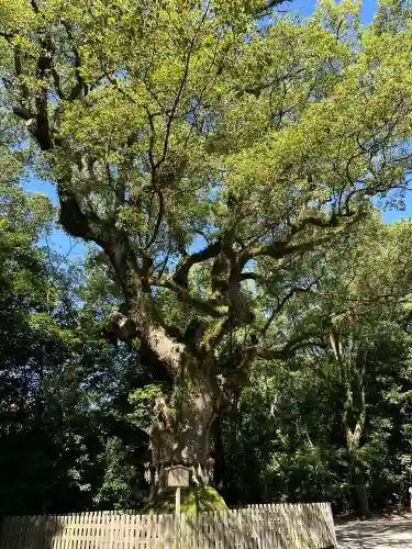 熱田神宮(愛知県)