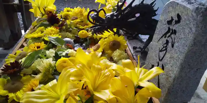 札幌諏訪神社の手水舎