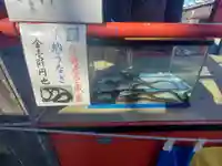 片貝神社(群馬県)