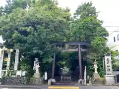 大井神社の鳥居