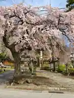 山家神社の自然