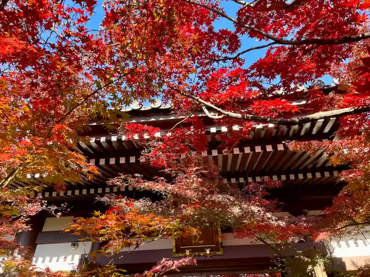 迎接院(東京都)