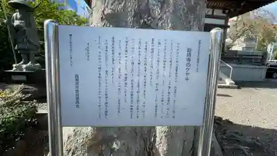 總持寺(東京都)