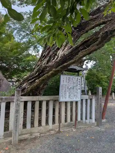 高野神社(岡山県)