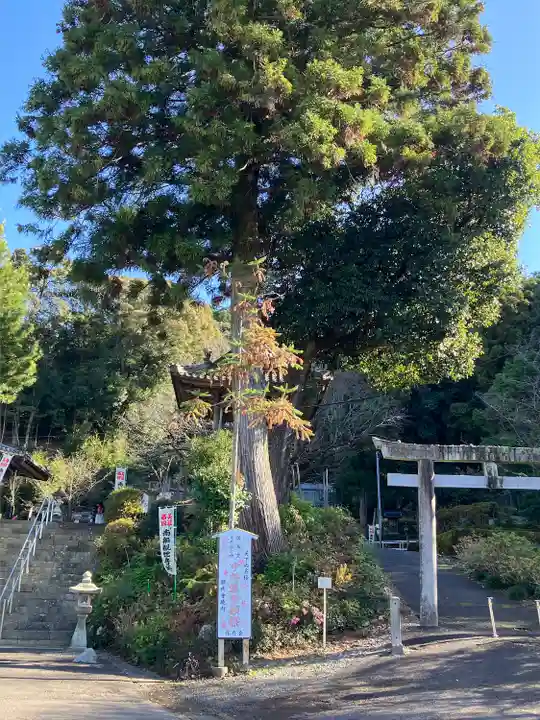 願成寺(岐阜県)