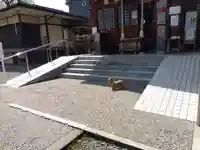杉杜白髭神社(福井県)