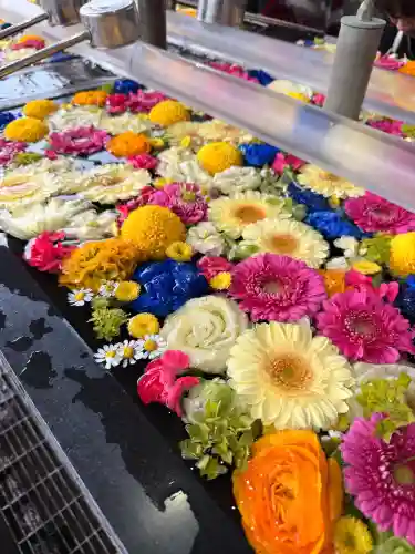 成田山深川不動堂（新勝寺東京別院）の{uncategorized: "未分類", other: "その他", undefined: "問題あり", building: "その他建物", grave: "お墓", sacred_gate: "鳥居", guardian: "狛犬", statue: "像", buddha: "仏像", history: "歴史", nature: "自然", garden: "庭園", animal: "動物", pagoda: "塔", temizu: "手水舎", mountain_gate: "山門・神門", sanctuary: "本殿・本堂", subordinate: "末社・摂社", art: "芸術", scenery: "景色", jizo: "地蔵", ema: "絵馬", goshuin: "御朱印", omikuji: "おみくじ", items: "授与品その他", amulet: "お守り", goshuincho: "御朱印帳", eats: "食事", festival: "お祭り", votive_dance: "神楽", shichigosan: "七五三参", wedding: "結婚式", experience: "体験その他", initially: "初詣", around: "周辺", anti_infection: "感染症対策"}