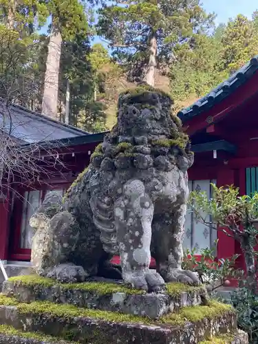 箱根神社の狛犬