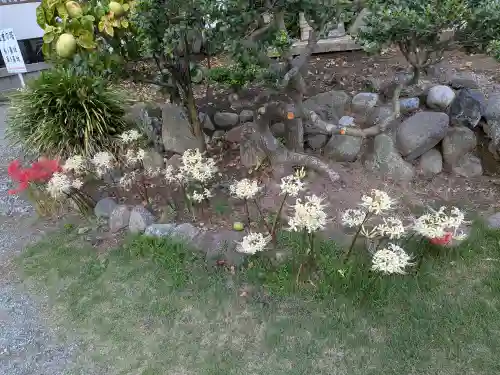 龍口寺(神奈川県)