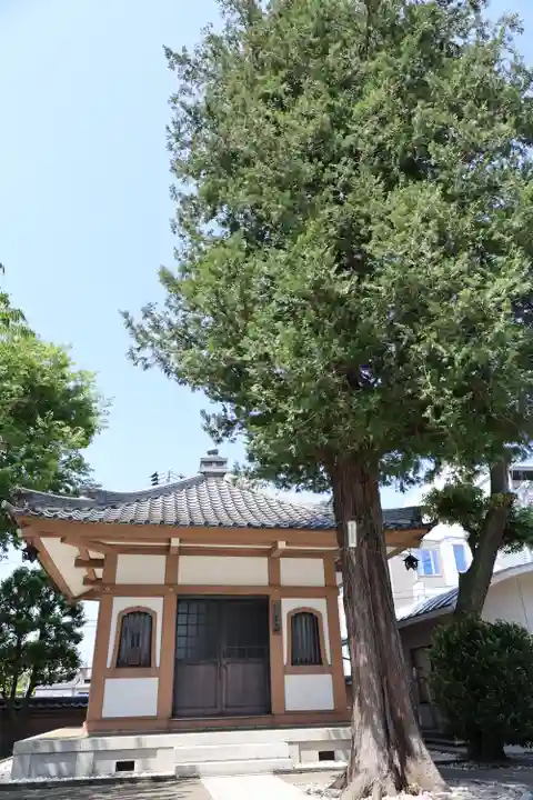 東円寺(東京都)