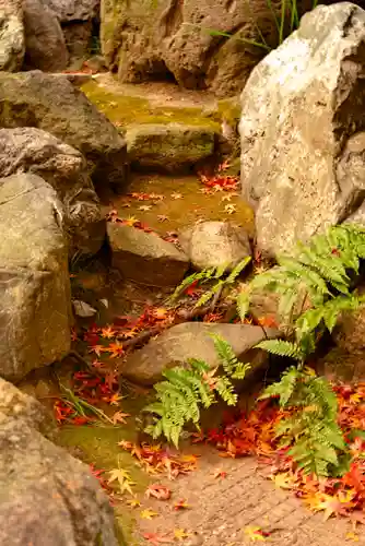 洲嵜神社(愛知県)