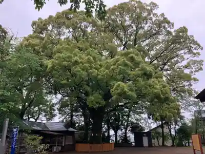 不破八幡宮(高知県)