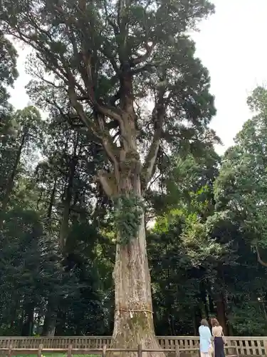 霧島神宮(鹿児島県)