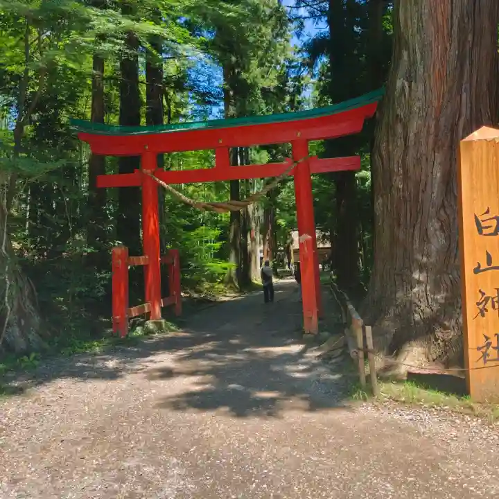白山神社(岩手県)