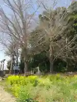 浅間神社 (埼玉県)