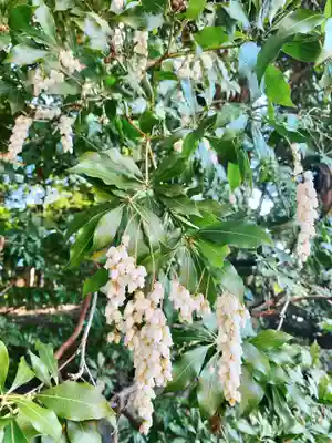 城南宮(京都府)