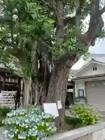 飛木稲荷神社(東京都)