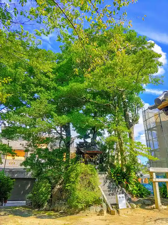 八坂神社の自然