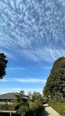 誉田八幡宮(大阪府)