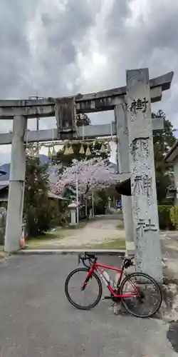 樹下神社(滋賀県)