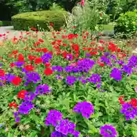 多治速比売神社の自然