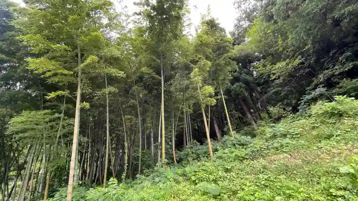 長光院(山形県)