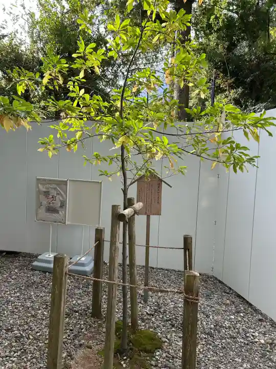 猿田彦神社(三重県)