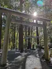 椿大神社の鳥居