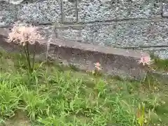 横浜　西方寺の自然