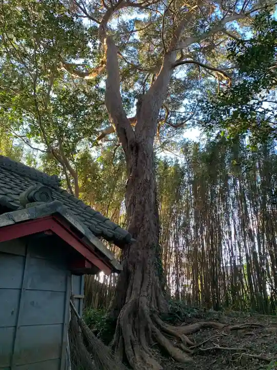 稲荷神社の自然