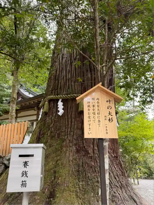 丹生川上神社(中社)(奈良県)