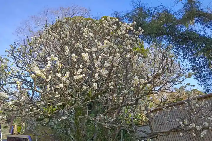 成田山新勝寺(千葉県)