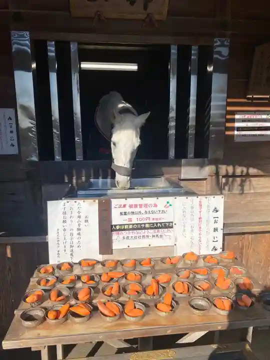 多度大社(三重県)