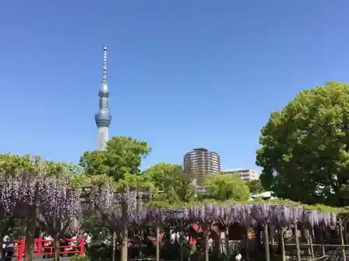 亀戸天神社の庭園