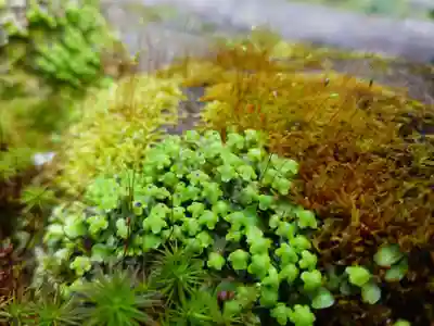 杉本寺(神奈川県)