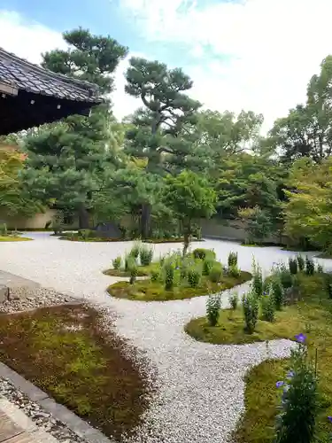 廬山寺（廬山天台講寺）の庭園