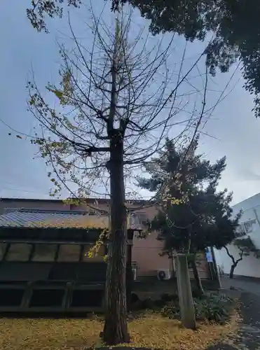 日招八幡大神社(愛媛県)