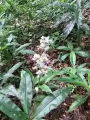 砥鹿神社（里宮）の庭園