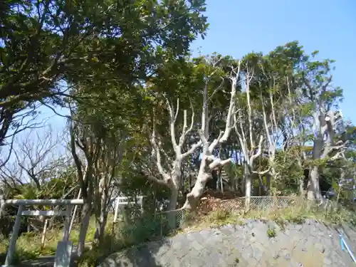 天照大神社の景色