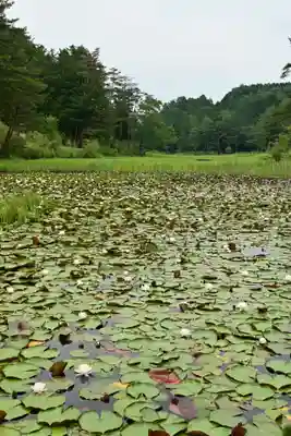 黒澤大師(徳島県)