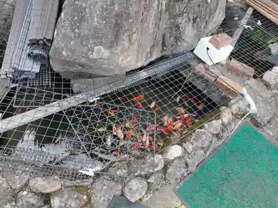 清水寺(長崎県)